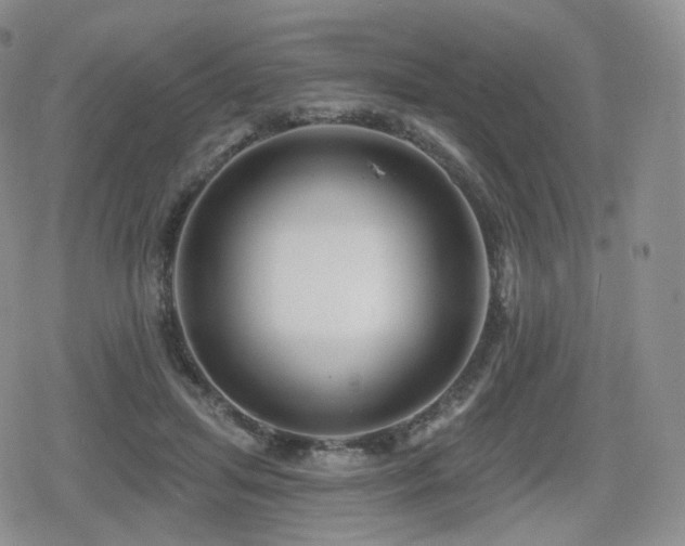 X0000080100455200612081206