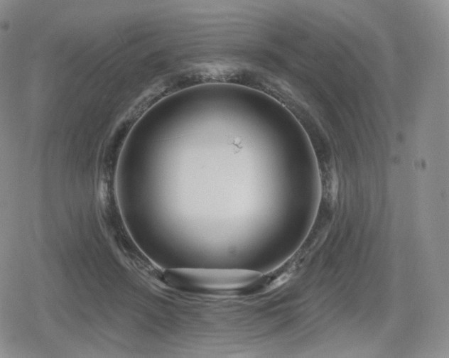 X0000080100456200612081206