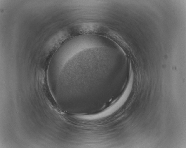 X0000080100458200612081206