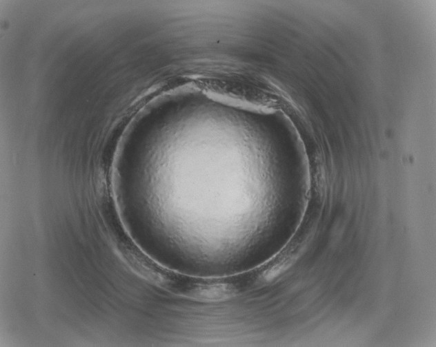 X0000080100459200612081206