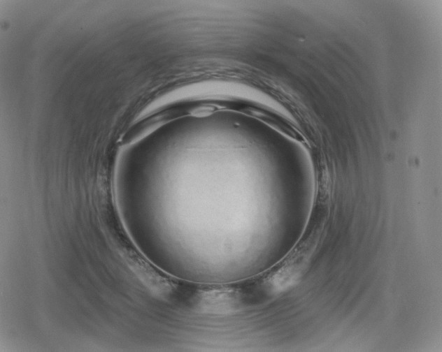 X0000080100461200612081206
