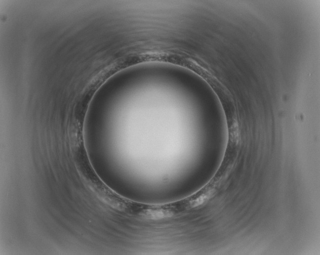 X0000080100464200612081206