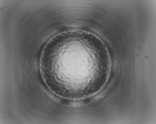 X0000080100466200612081206