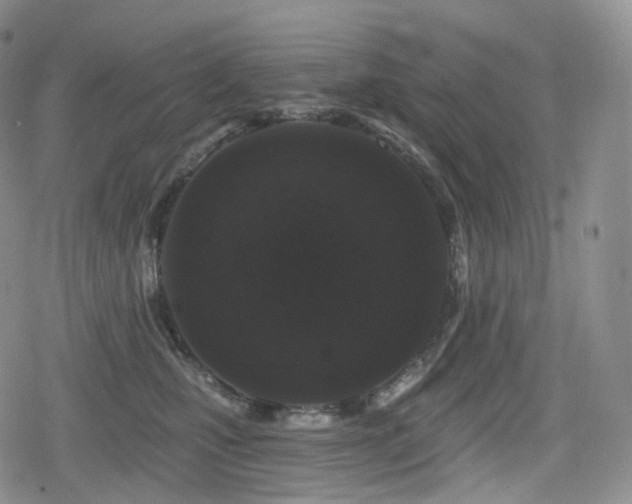 X0000080100471200612081206