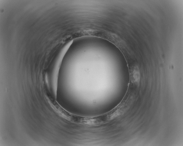 X0000080100472200612081206