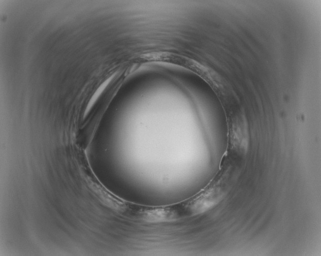 X0000080100473200612081206