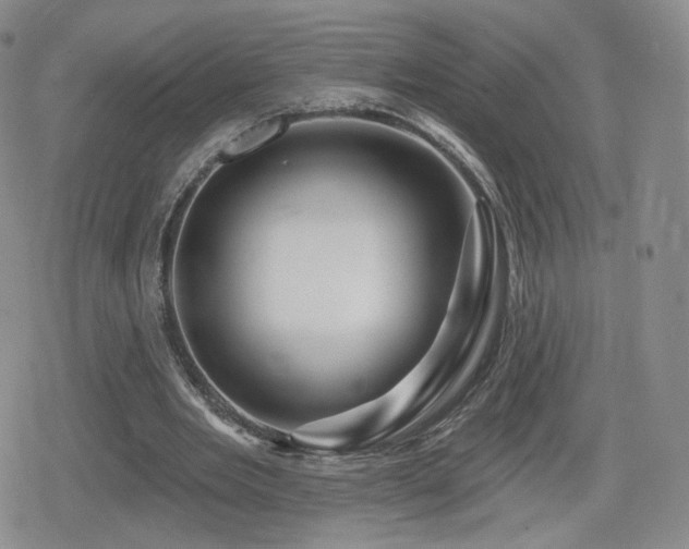 X0000080100485200612081206