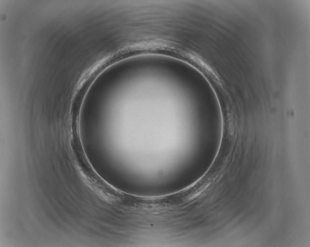 X0000080100486200612081206