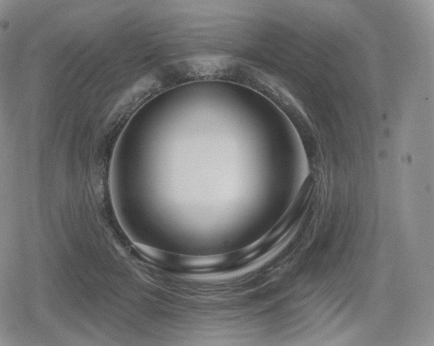 X0000080100505200612081205
