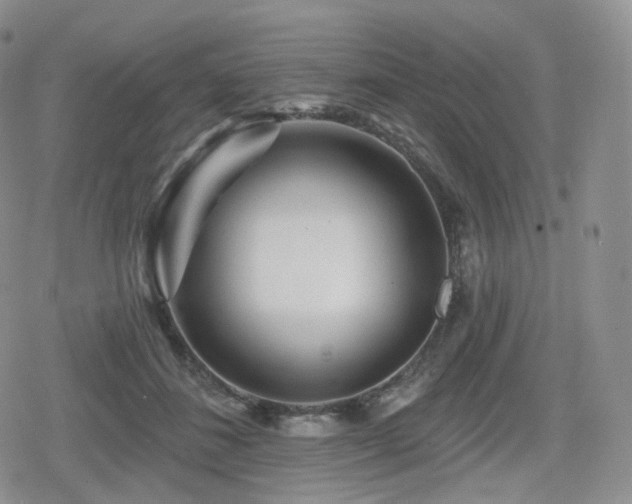 X0000080100508200612081205