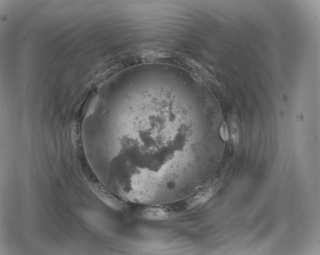 X0000080100519200612081205