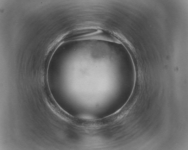X0000080100533200612081204