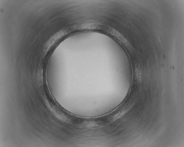X0000080100534200612081204