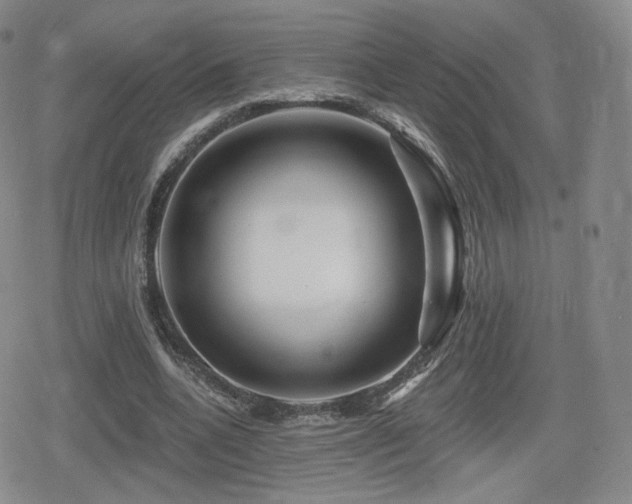 X0000080100536200612081204