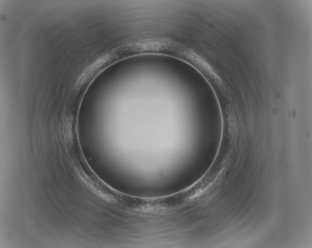 X0000080100537200612081204