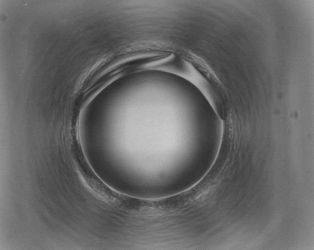 X0000080100538200612081204