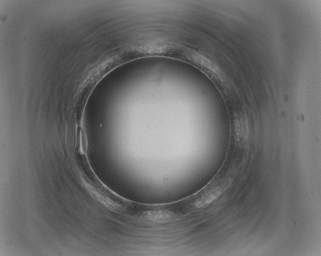 X0000080100541200612081204