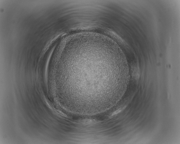 X0000080100542200612081204