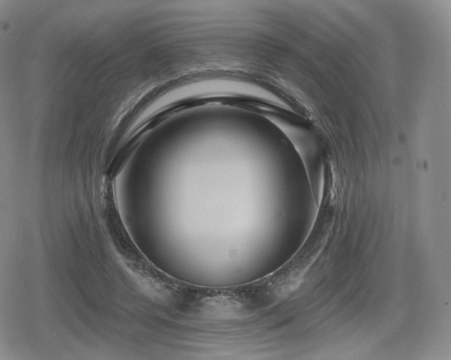X0000080100544200612081204