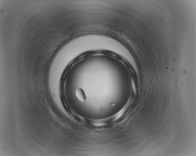 X0000080100546200612081204