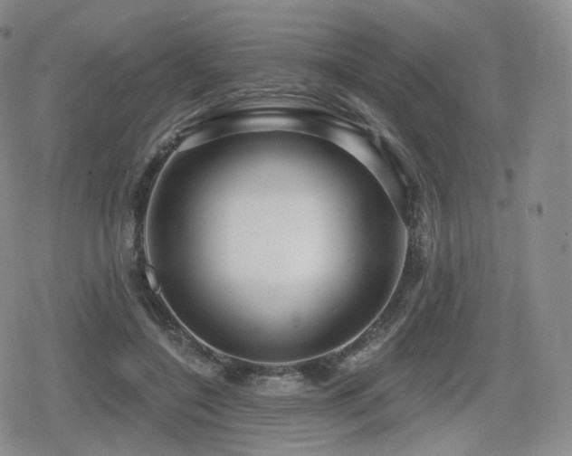 X0000080100548200612081205