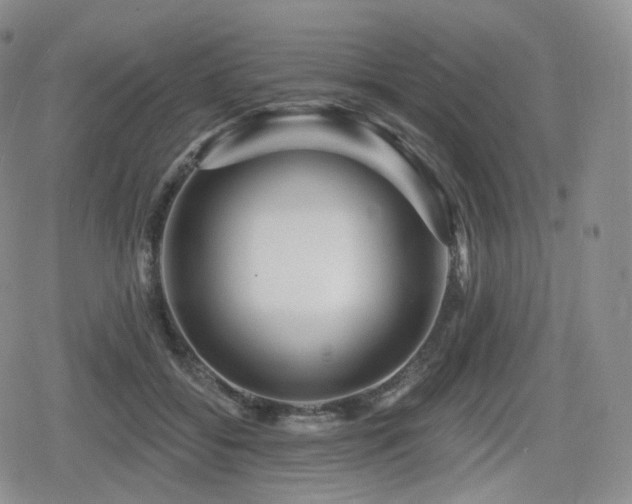 X0000080100556200612081205