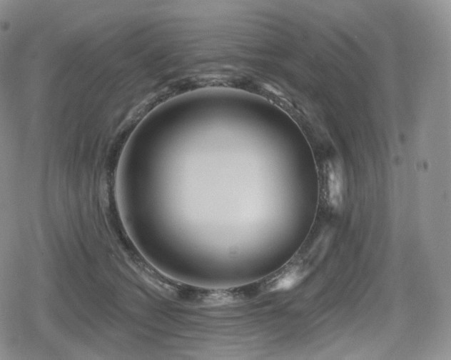 X0000080100562200612081205