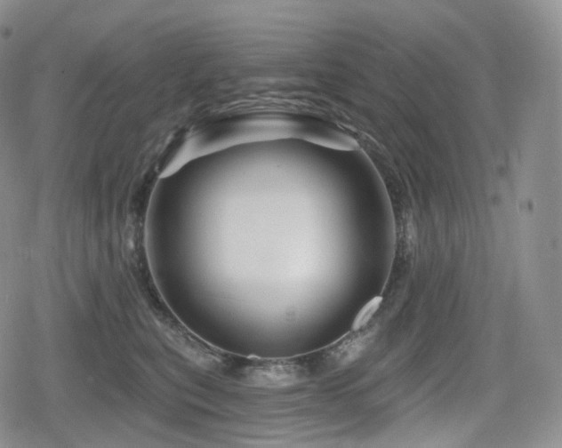 X0000080100567200612081205