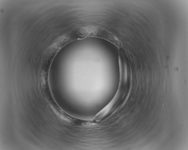 X0000080100570200612081205