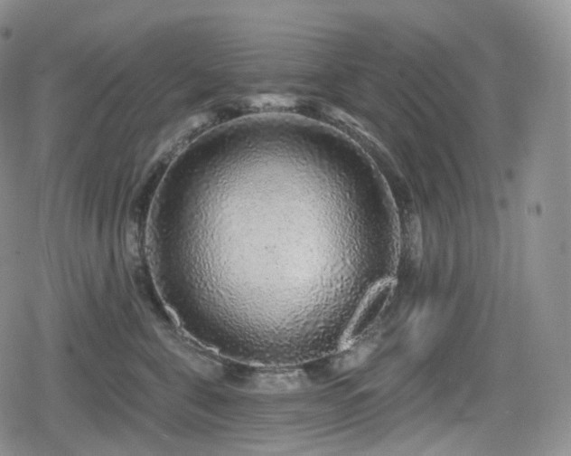 X0000080100571200612081205