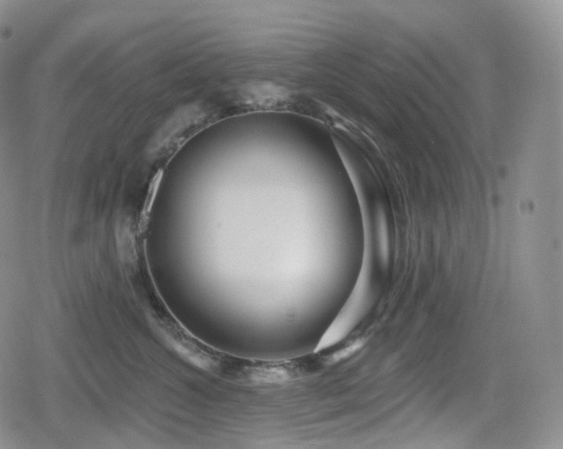 X0000080100572200612081205