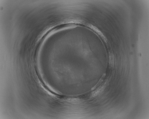 X0000080100577200612081204