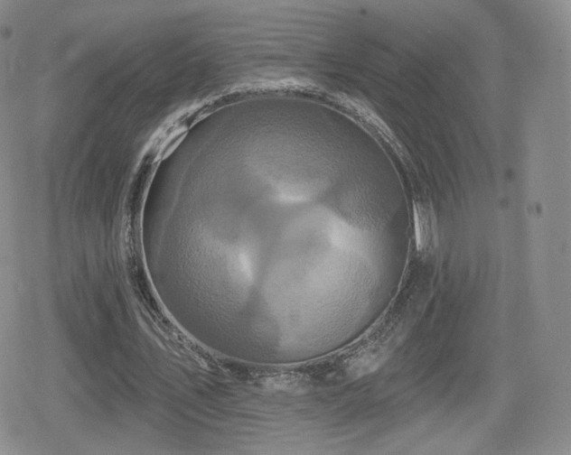 X0000080100579200612081204