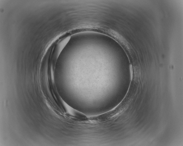 X0000080100580200612081204