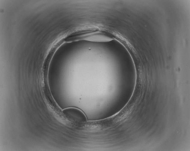 X0000080100582200612081204