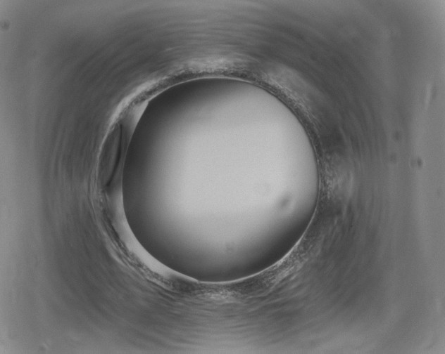 X0000080100583200612081204