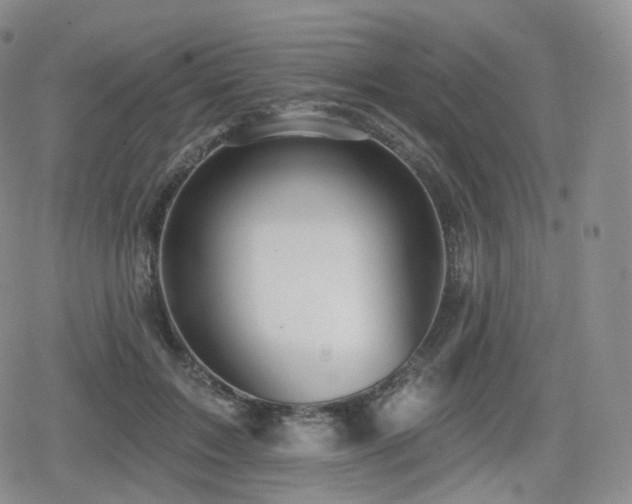 X0000080100603200612081204