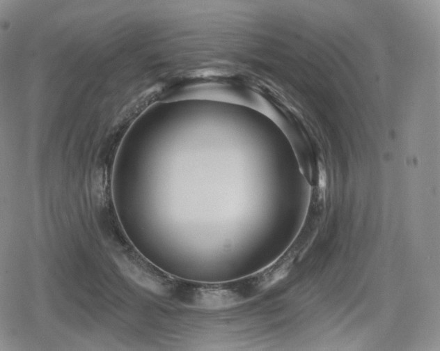 X0000080100605200612081204