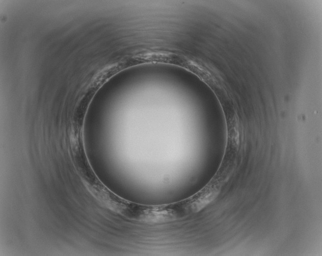 X0000080100607200612081204