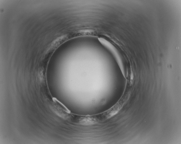 X0000080100611200612081204