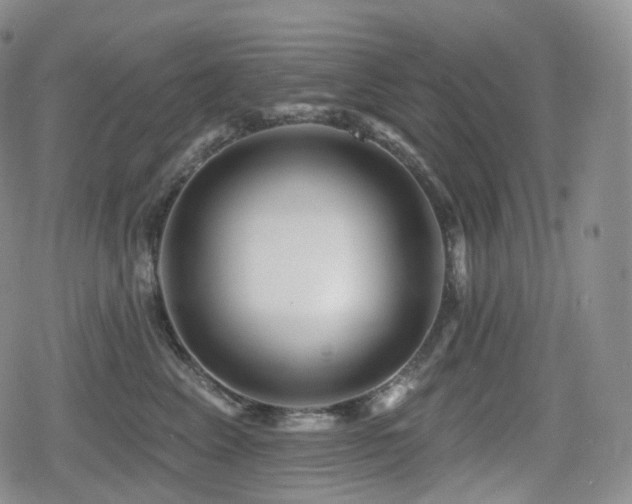 X0000080100617200612081204