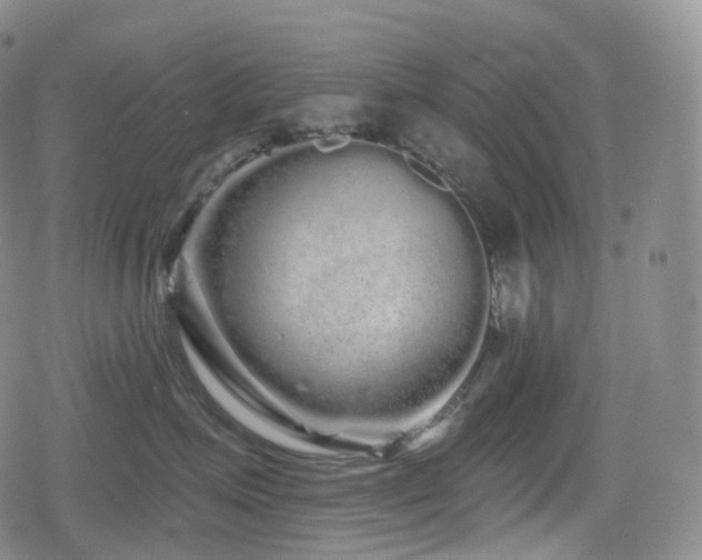 X0000080100623200612081203