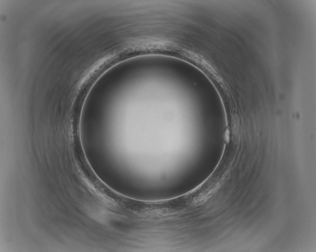 X0000080100629200612081203