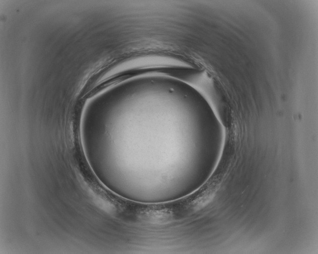 X0000080100638200612081203