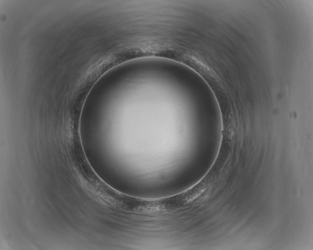 X0000080100639200612081203