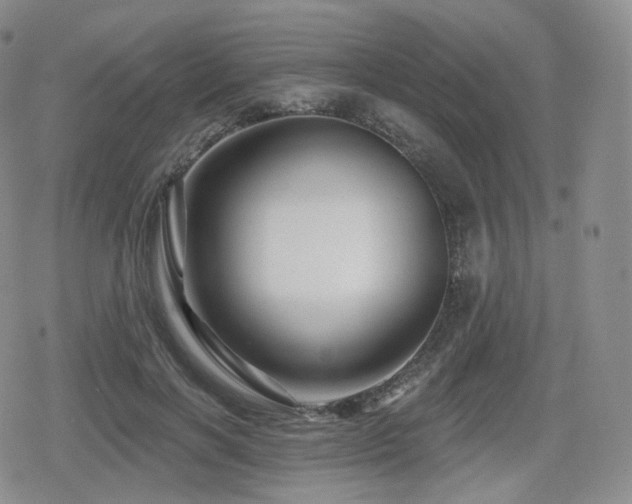 X0000080100646200612081203