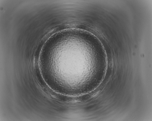 X0000080100647200612081203