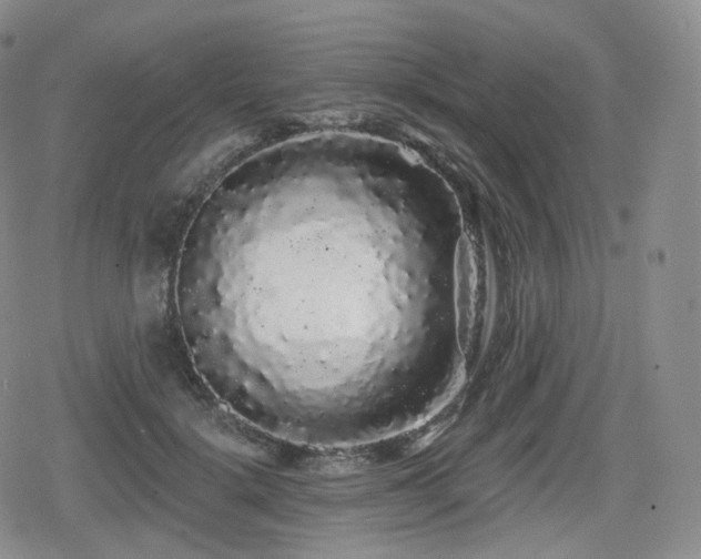X0000080100652200612081203