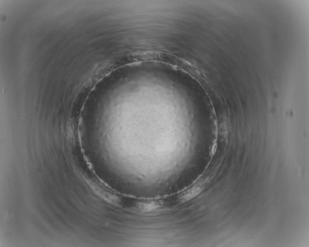 X0000080100662200612081203