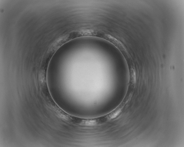 X0000080100665200612081203